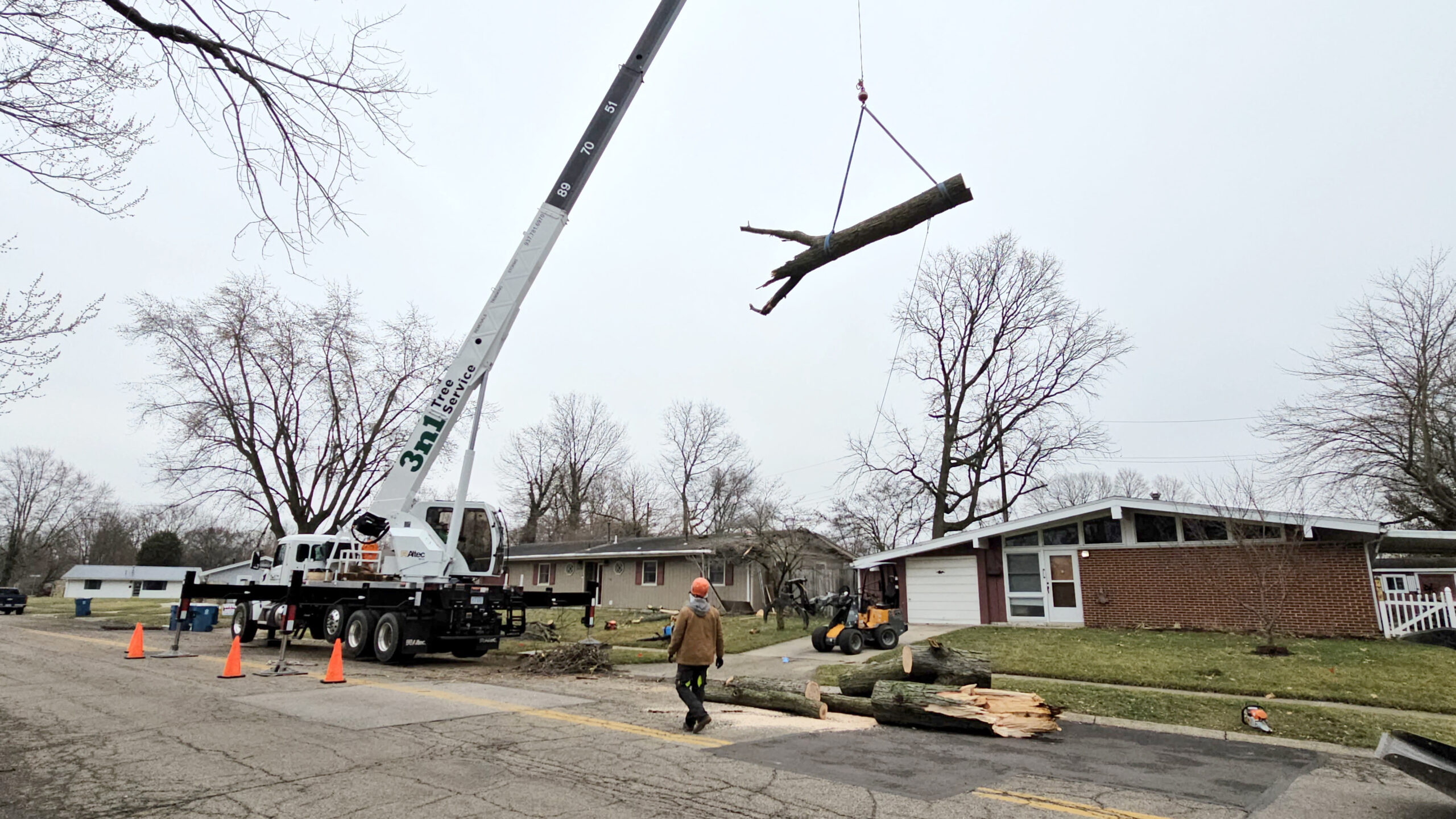 3n1 Tree Service – Dayton Tree Service, Tree Removal | 3n1 Tree Service